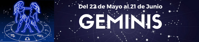 LOGO - geminis