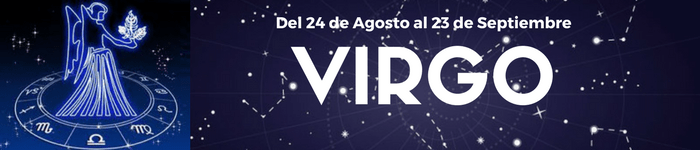 LOGO - virgo